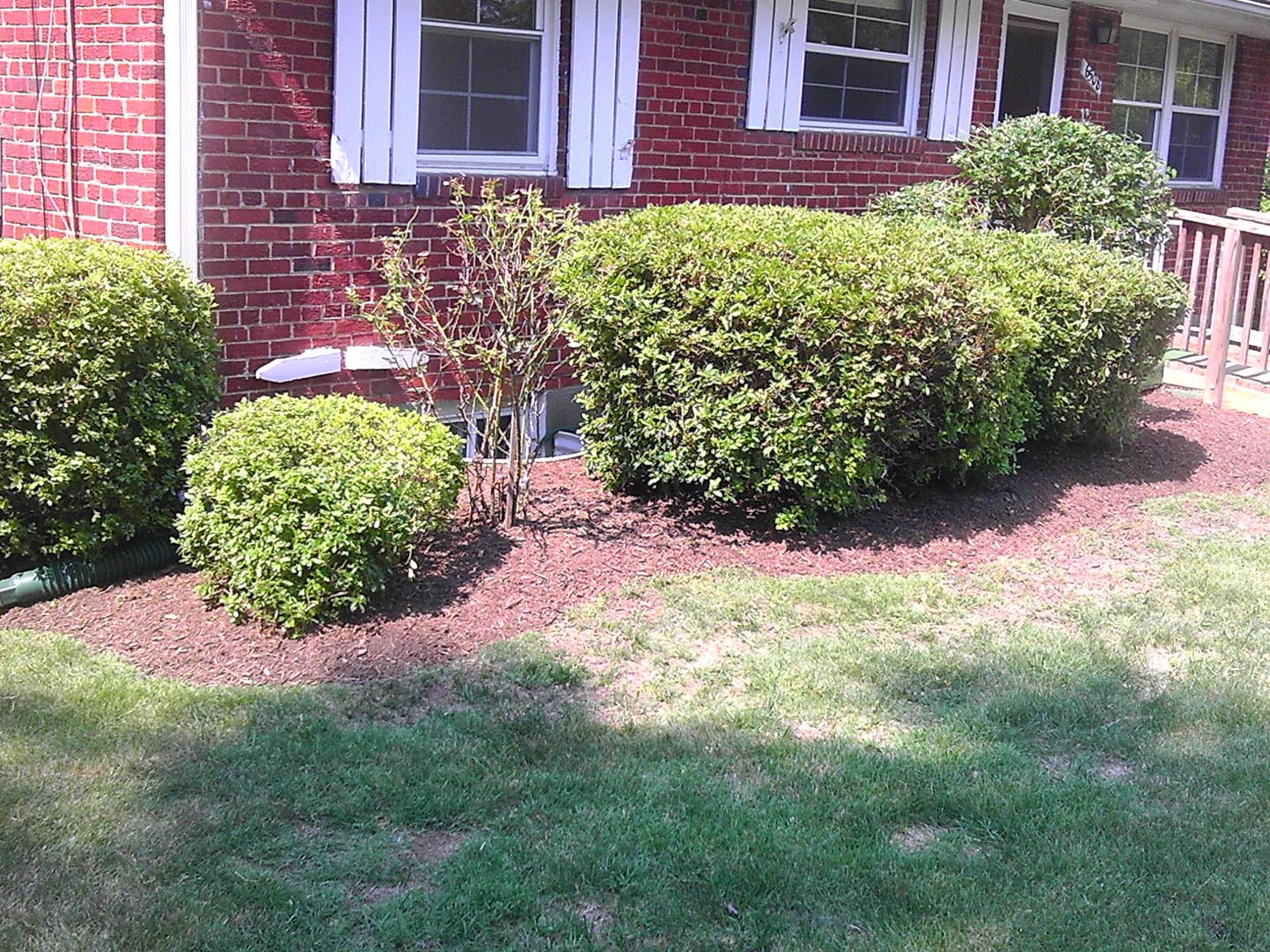 Lawn Sprinkler Installation & Repair Montclair, Woodbridge & Great